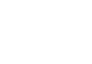 bizillion concepts affiliate logo