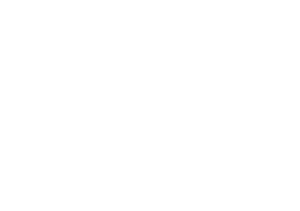 bizillion concepts affiliate logo